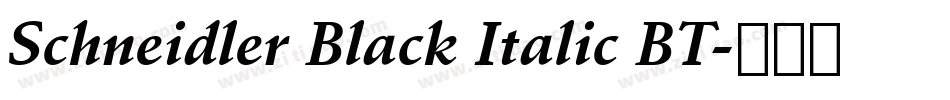 Schneidler Black Italic BT字体转换
